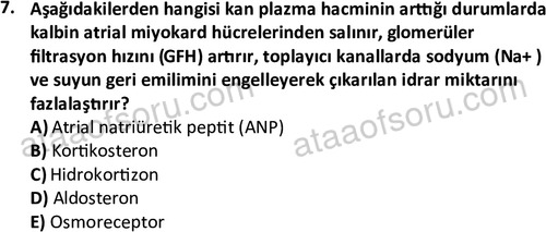 ata laborantvet 1950 7