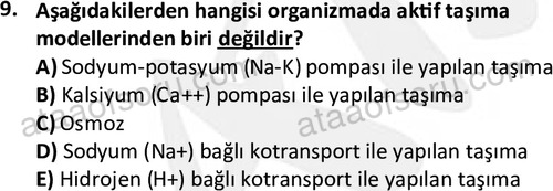 ata laborantvet 1950 9