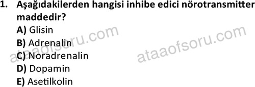 ata laborantvet 1950 1