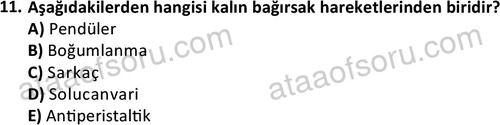 ata laborantvet 1950 11