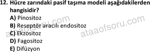 ata laborantvet 1950 12