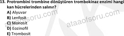 ata laborantvet 1950 13