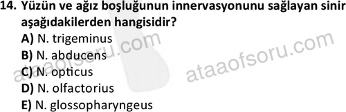 ata laborantvet 1950 14