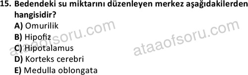 ata laborantvet 1950 15