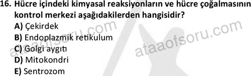 ata laborantvet 1950 16