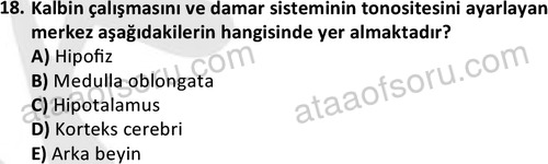 ata laborantvet 1950 18