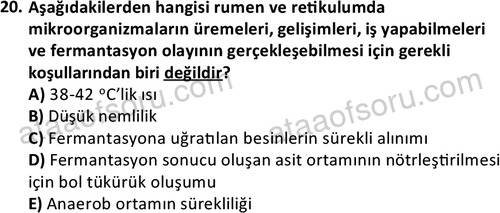 ata laborantvet 1950 20