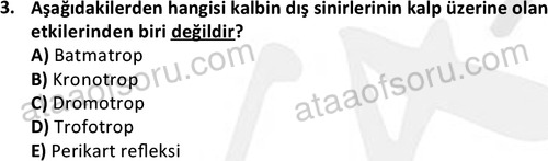 ata laborantvet 1950 3