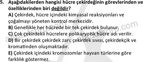 ata laborantvet 1950 5