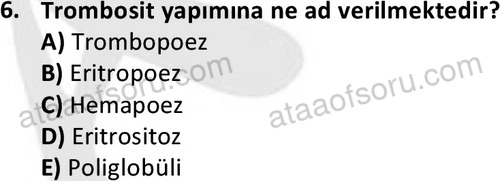 ata laborantvet 1950 6