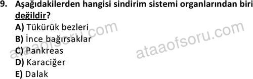 ata laborantvet 1950 9