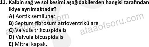 ata laborantvet 1950 11