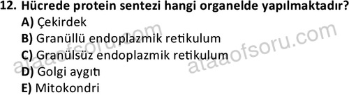 ata laborantvet 1950 12