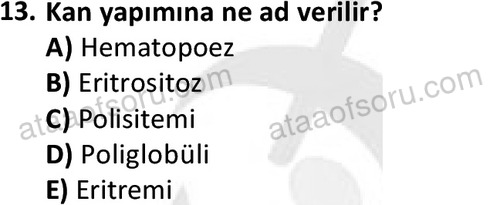 ata laborantvet 1950 13