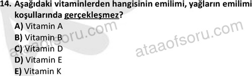 ata laborantvet 1950 14