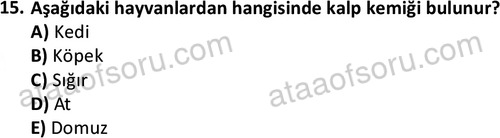 ata laborantvet 1950 15