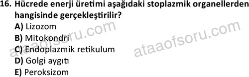 ata laborantvet 1950 16