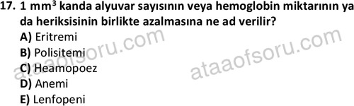 ata laborantvet 1950 17