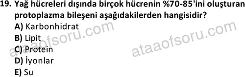 ata laborantvet 1950 19