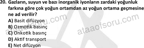 ata laborantvet 1950 20