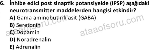 ata laborantvet 1950 6
