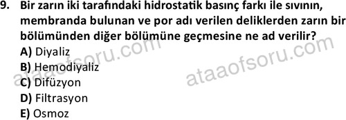 ata laborantvet 1950 9