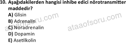 ata laborantvet 1950 10