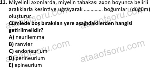 ata laborantvet 1950 11