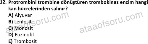 ata laborantvet 1950 12