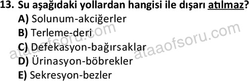 ata laborantvet 1950 13