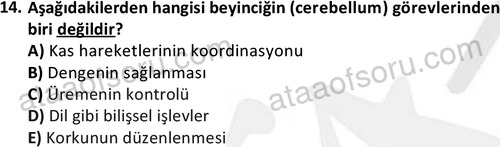 ata laborantvet 1950 14