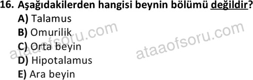 ata laborantvet 1950 16