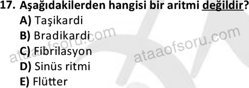 ata laborantvet 1950 17