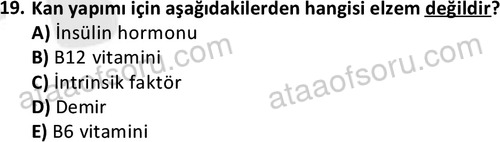 ata laborantvet 1950 19