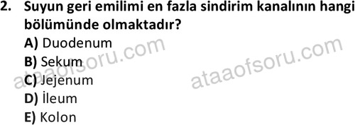 ata laborantvet 1950 2