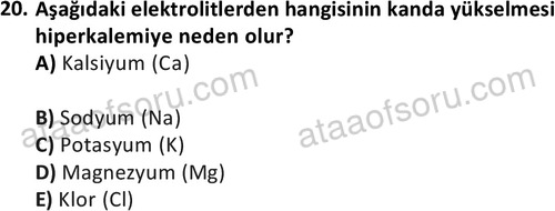 ata laborantvet 1950 20