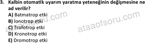 ata laborantvet 1950 3