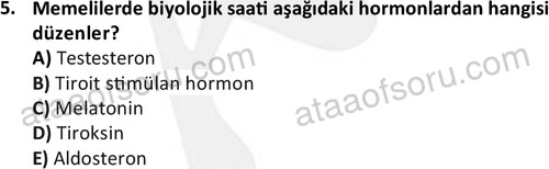 ata laborantvet 1950 5