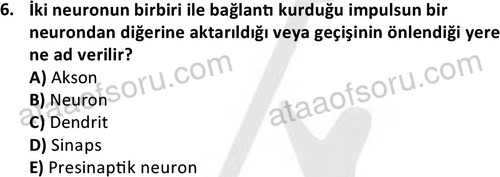 ata laborantvet 1950 6