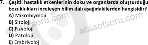 ata laborantvet 1950 7