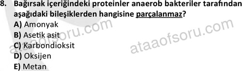 ata laborantvet 1950 8