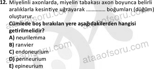 ata laborantvet 1950 12