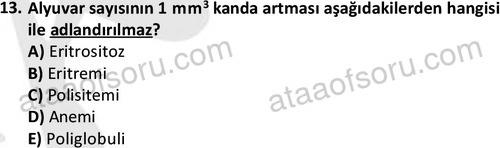 ata laborantvet 1950 13