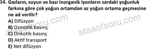 ata laborantvet 1950 14