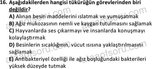 ata laborantvet 1950 16