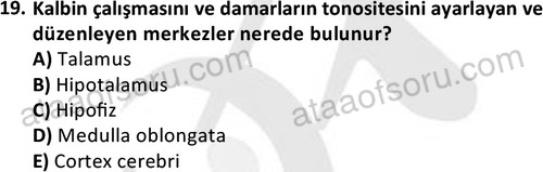 ata laborantvet 1950 19