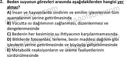 ata laborantvet 1950 2