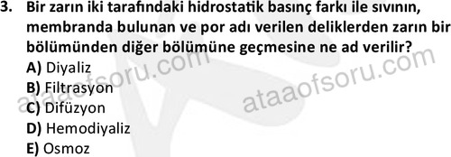 ata laborantvet 1950 3