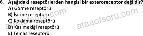 ata laborantvet 1950 6