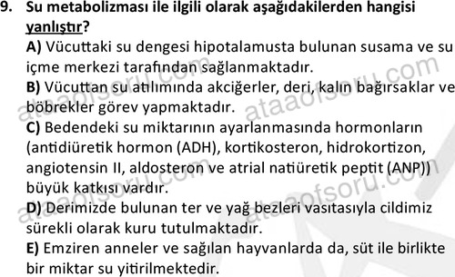 ata laborantvet 1950 9